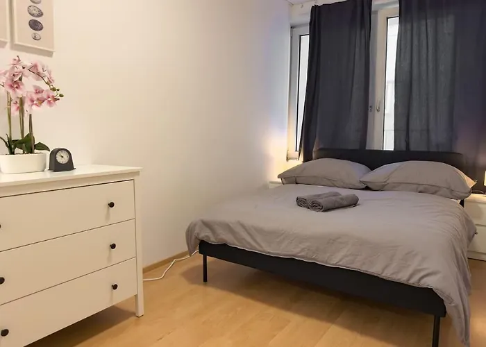 Elegant 3-bedroom Flat Near Messe And Old Apartment *