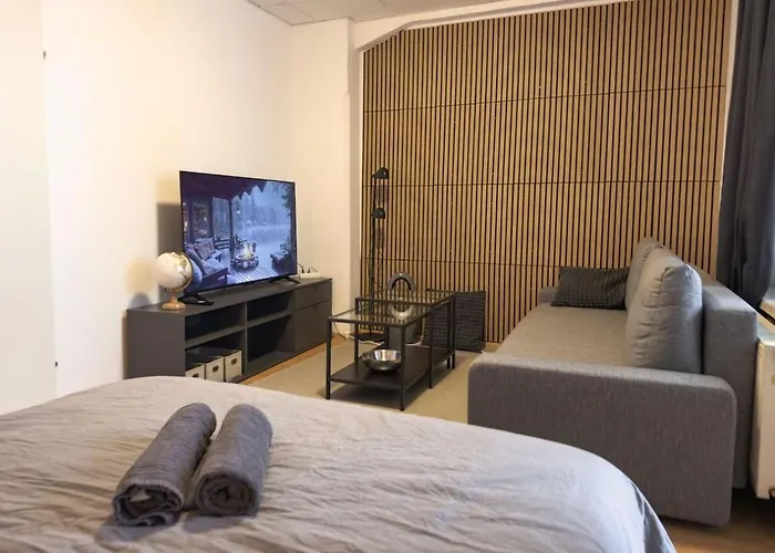 Elegant 3-bedroom Flat Near Messe And Old *