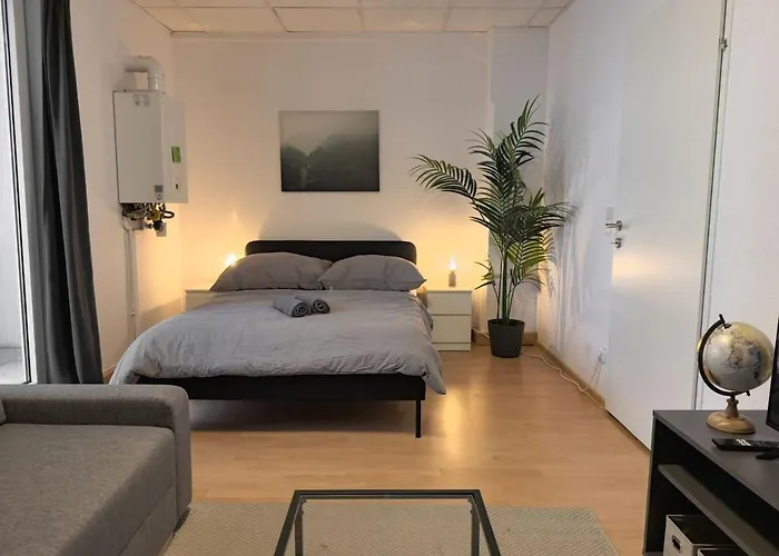 Elegant 3-bedroom Flat Near Messe And Old Vienna