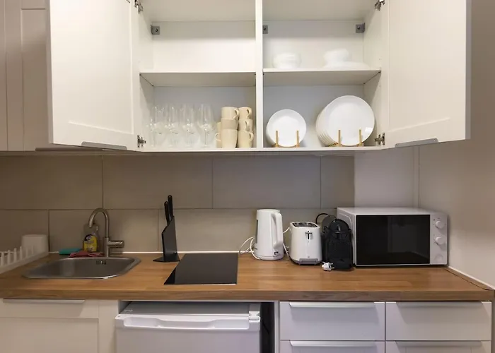 Apartment Elegant 3-bedroom Flat Near Messe And Old Vienna