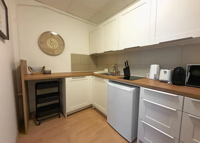 Elegant 3-bedroom Flat Near Messe And Old Vienna